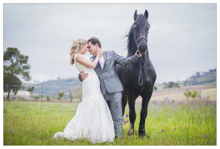 Fairytale wedding, Groenvlei, Cape Town | Neill & Suzelle