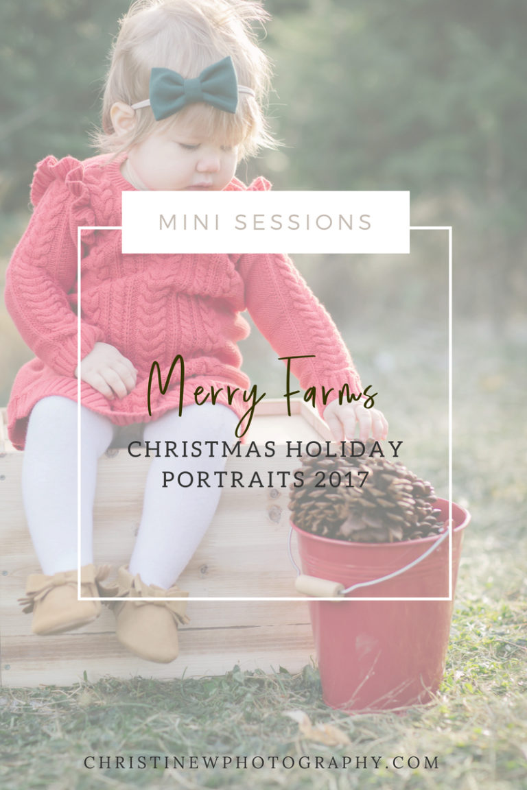 Merry Farms Christmas mini sessions | 2017 families