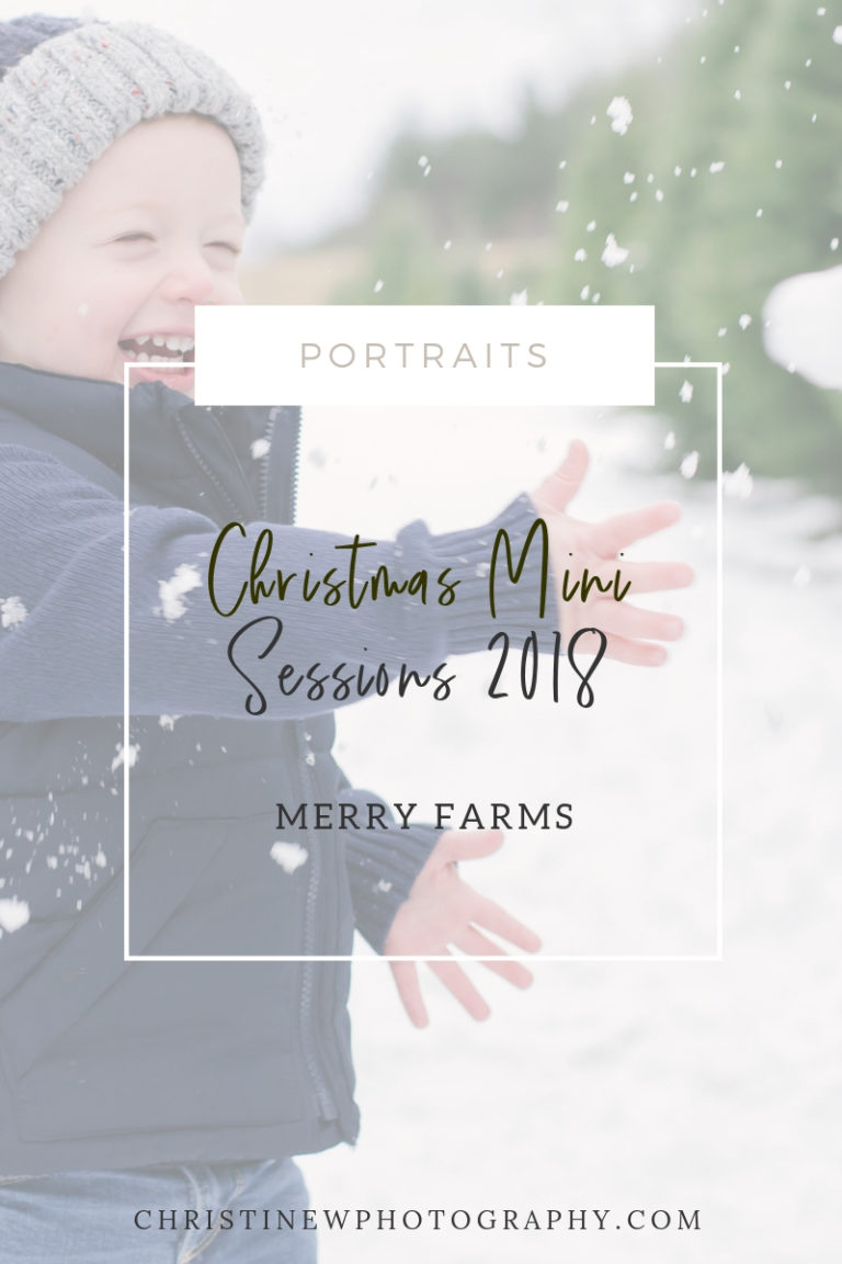Merry Farms Christmas Mini Sessions 2018 | Burlington Family Photographer Christine W