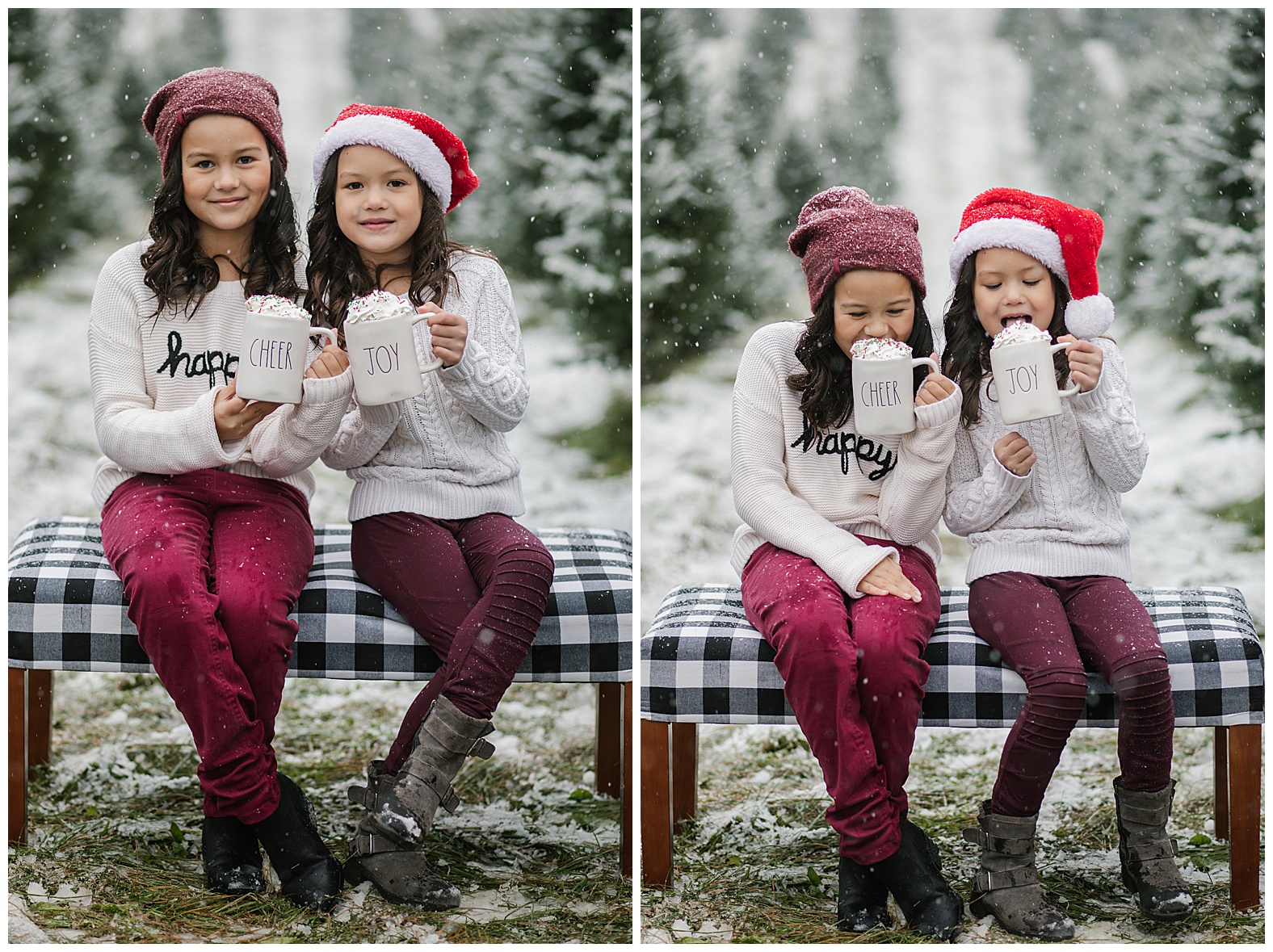 Seasonal Mini Sessions | Pre-Sale - Image 18