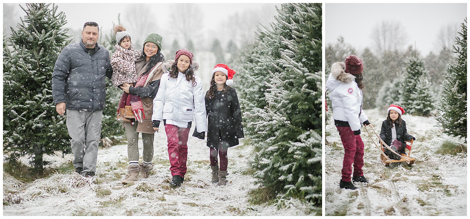 Seasonal Mini Sessions | Pre-Sale - Image 14