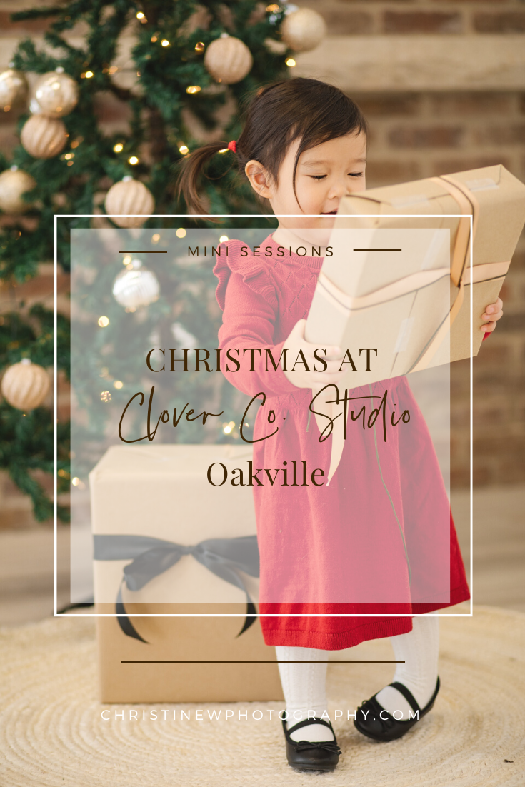 Oakville Indoor Holiday Mini Sessions
