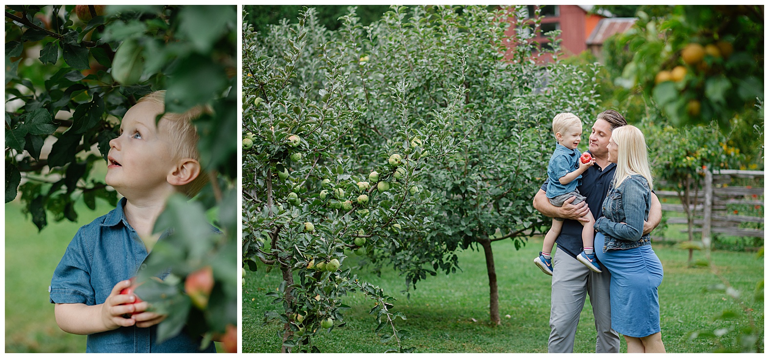 Seasonal Mini Sessions | Flower Farm Fun - Image 17
