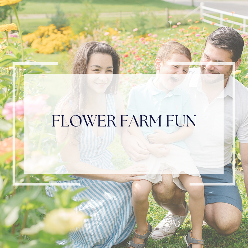 Seasonal Mini Sessions | Flower Farm Fun